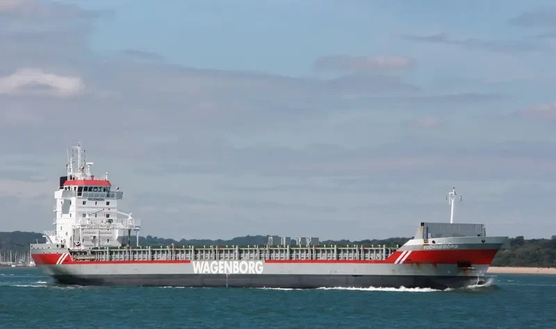 VOORNEBORG Container Ship IMO 9179373