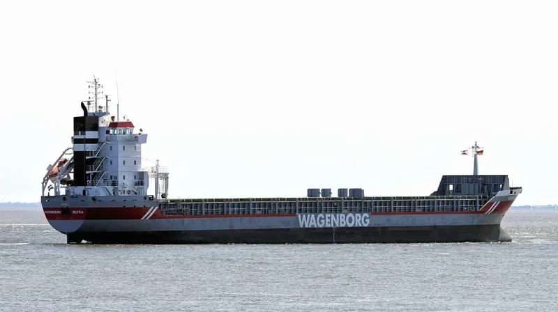 VOORNEBORG Container Ship IMO 9179373 photo 7