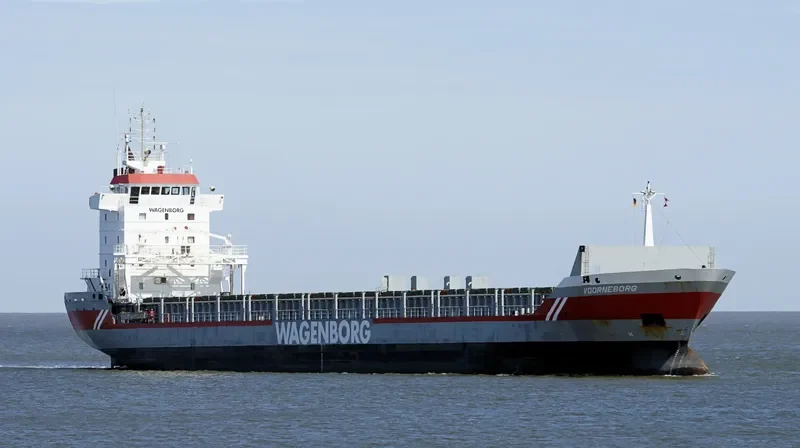 VOORNEBORG Container Ship IMO 9179373 photo 8
