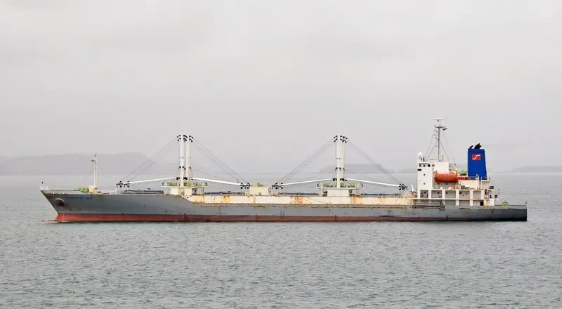 ARACENA CARRIER General Cargo IMO 9179397