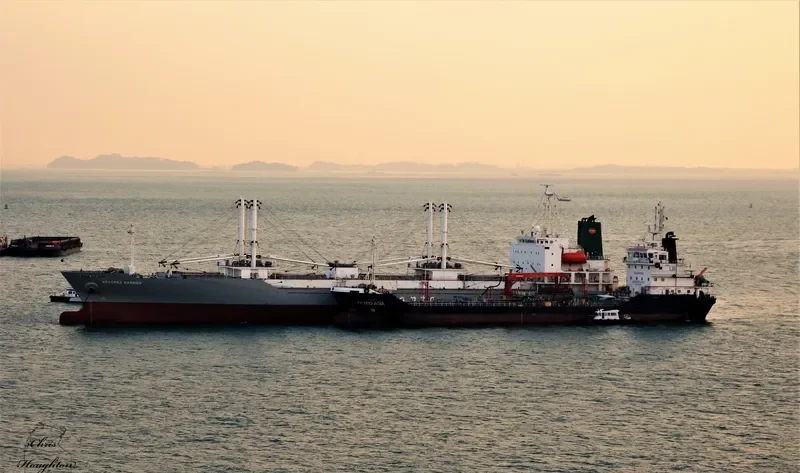 ARACENA CARRIER General Cargo IMO 9179397 photo 5