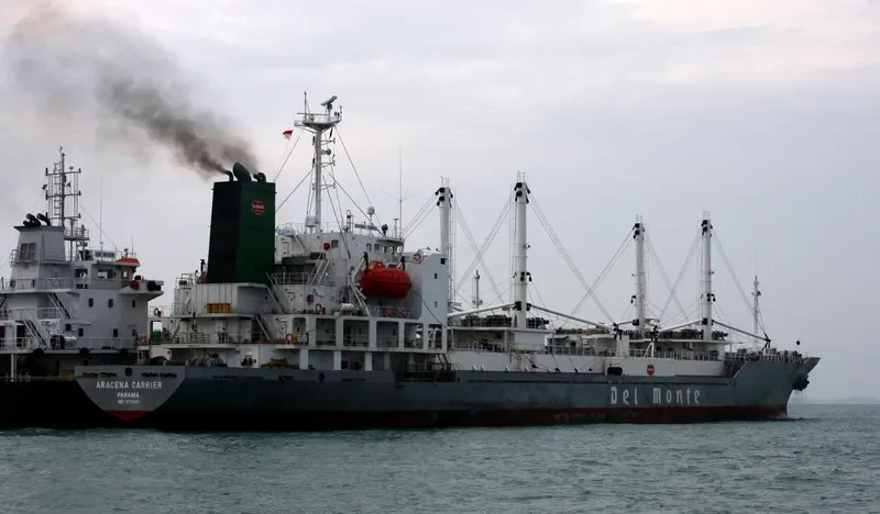 ARACENA CARRIER General Cargo IMO 9179397 photo 6