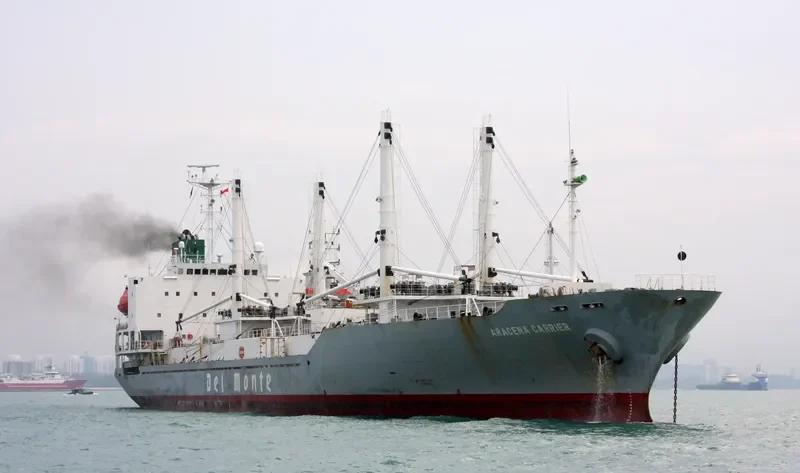 ARACENA CARRIER General Cargo IMO 9179397 photo 7