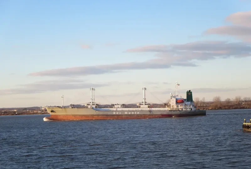 ARACENA CARRIER General Cargo IMO 9179397 photo 8