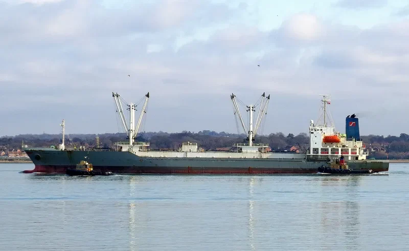 ARACENA CARRIER General Cargo IMO 9179397 photo 10