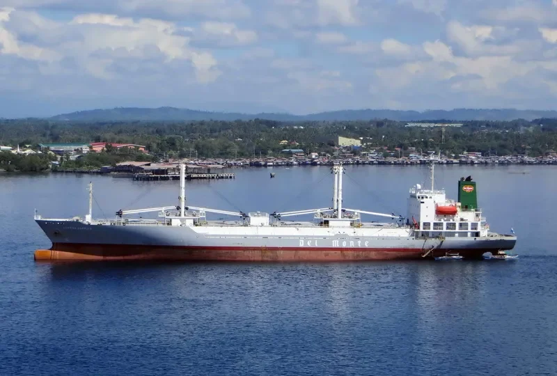 LUCENA CARRIER General Cargo IMO 9179402 photo 3