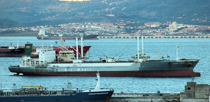 LUCENA CARRIER General Cargo IMO 9179402 photo 8
