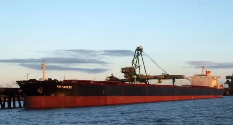 RZS HARMONY Bulk Carrier IMO 9179579 photo 2