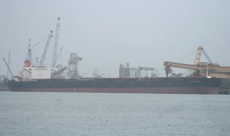 RZS HARMONY Bulk Carrier IMO 9179579 photo 3