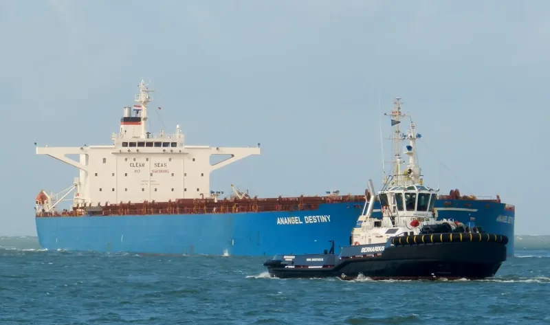 ANANGEL DESTINY Bulk Carrier IMO 9179593 photo 7
