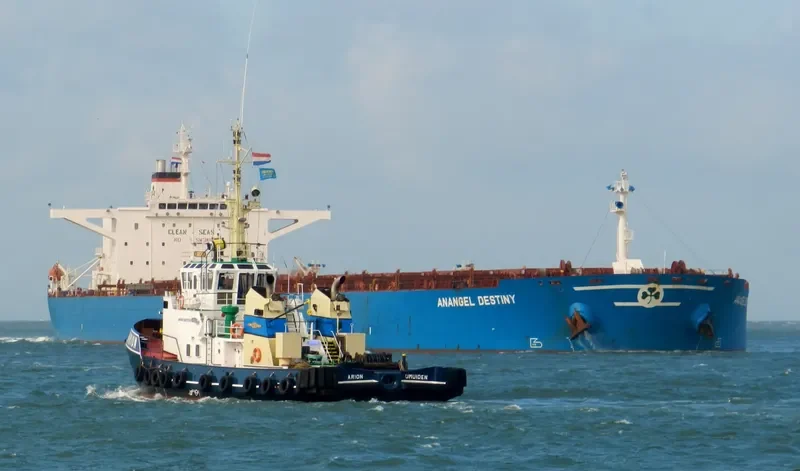 ANANGEL DESTINY Bulk Carrier IMO 9179593 photo 8