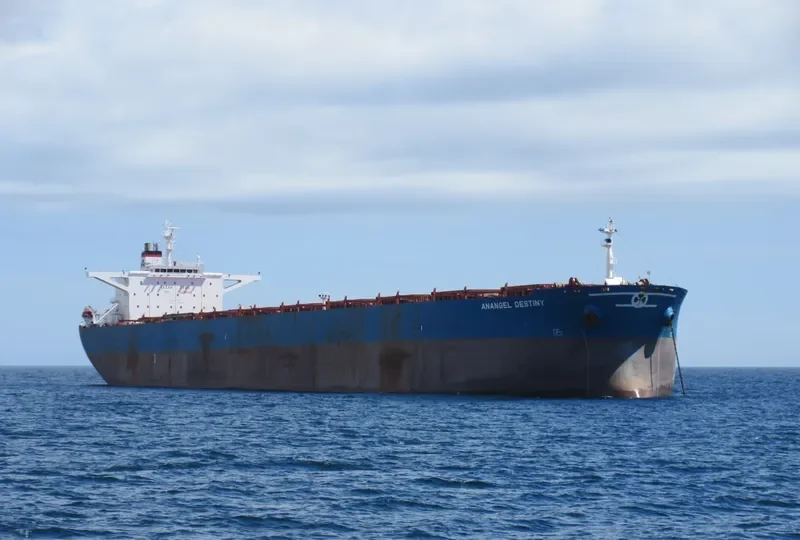 ANANGEL DESTINY Bulk Carrier IMO 9179593 photo 9