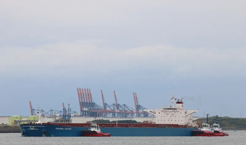 ANANGEL DESTINY Bulk Carrier IMO 9179593 photo 10