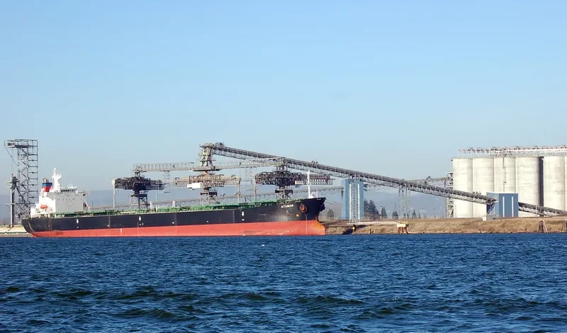 XING HANG JUN HAO Bulk Carrier IMO 9179696 photo 7