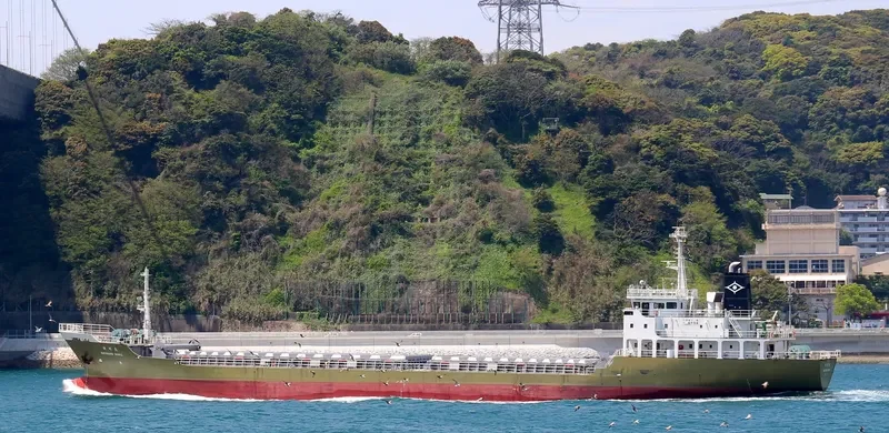 SHINSHO General Cargo IMO 9179957 photo 3