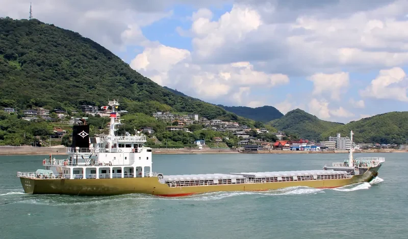 SHINSHO General Cargo IMO 9179957 photo 10