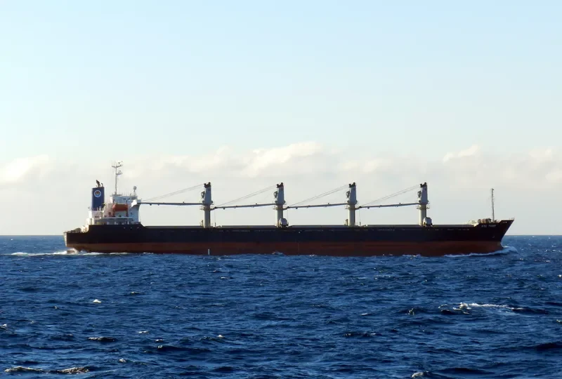 VTB STAR Bulk Carrier IMO 9180009 photo 3