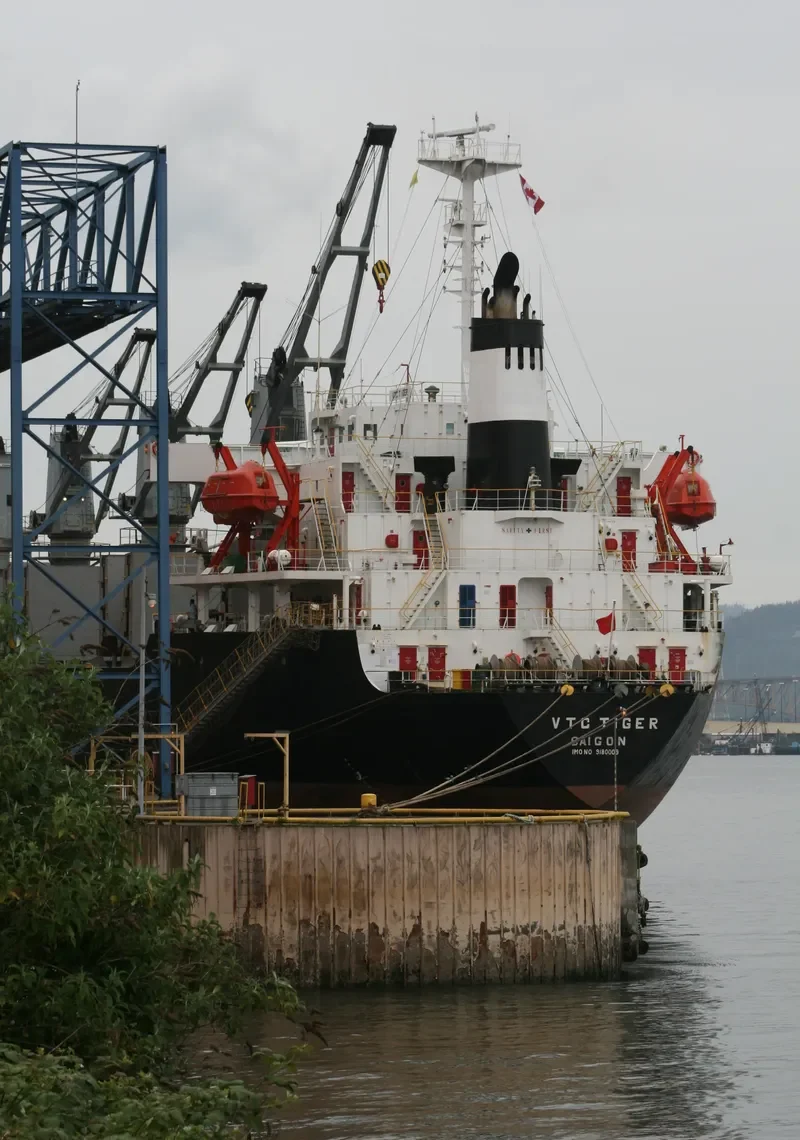 VTB STAR Bulk Carrier IMO 9180009 photo 5
