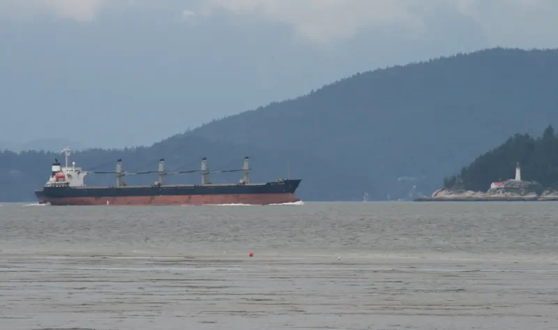 VTB STAR Bulk Carrier IMO 9180009 photo 6