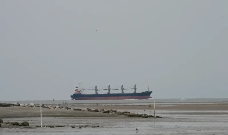 VTB STAR Bulk Carrier IMO 9180009 photo 7