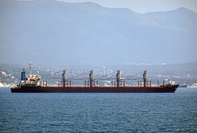 HENRY WELL Bulk Carrier IMO 9180011 photo 6