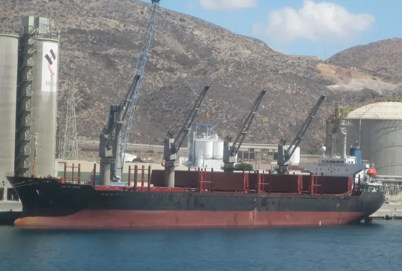 HENRY WELL Bulk Carrier IMO 9180011 photo 9