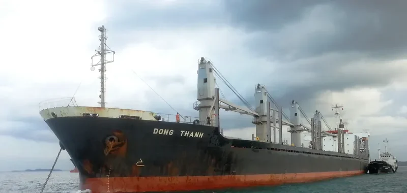 DONG THANH Bulk Carrier IMO 9180035 photo 4