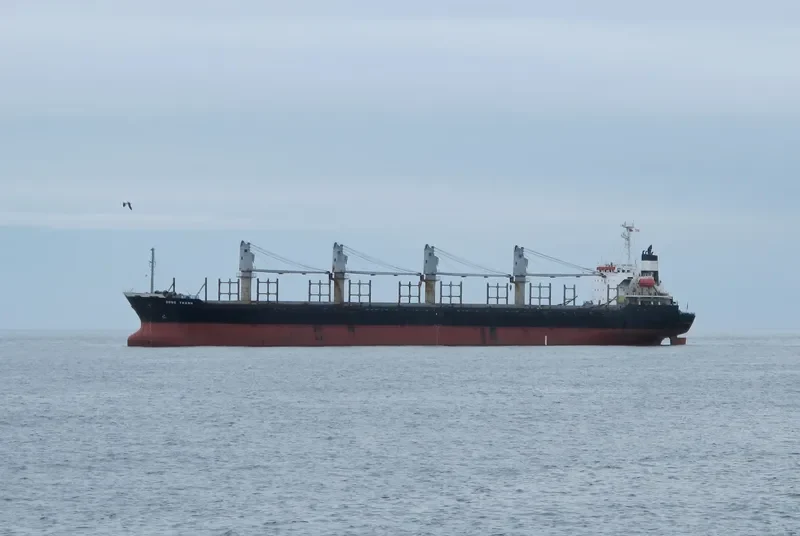 DONG THANH Bulk Carrier IMO 9180035 photo 5