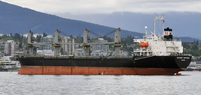 BMC CALYPSO Bulk Carrier IMO 9180334 photo 3