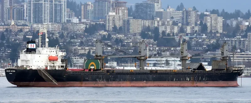 BMC CALYPSO Bulk Carrier IMO 9180334 photo 8