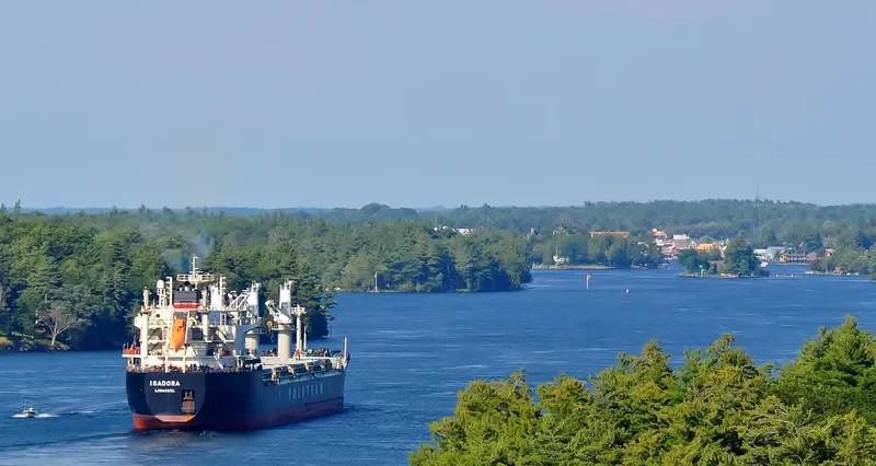 ISADORA Bulk Carrier IMO 9180372 photo 9