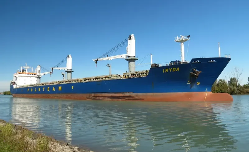 IRYDA Bulk Carrier IMO 9180384 photo 3