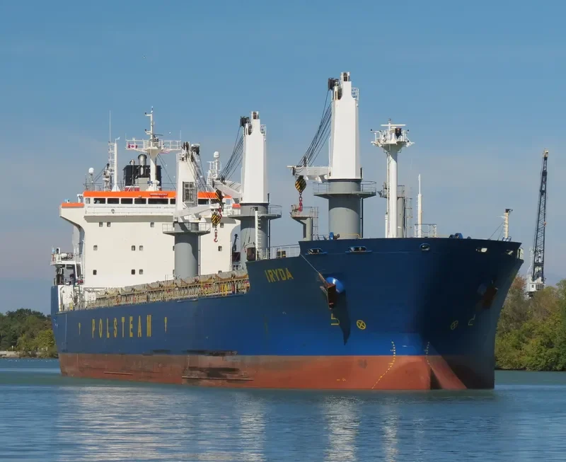 IRYDA Bulk Carrier IMO 9180384 photo 4