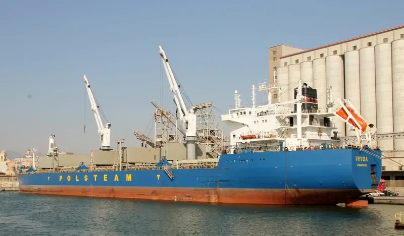 IRYDA Bulk Carrier IMO 9180384 photo 7