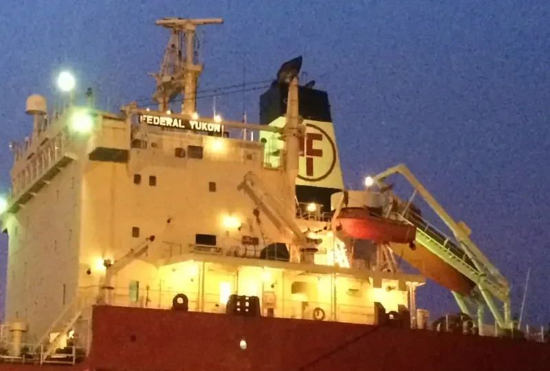 IRMA Bulk Carrier IMO 9180396 photo 5