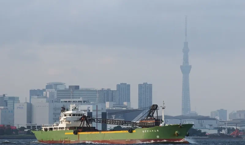 SADA MARU NO.38 General Cargo IMO 9180475 photo 2