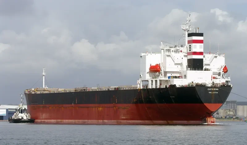 JIN HAI QIANG Bulk Carrier IMO 9180774