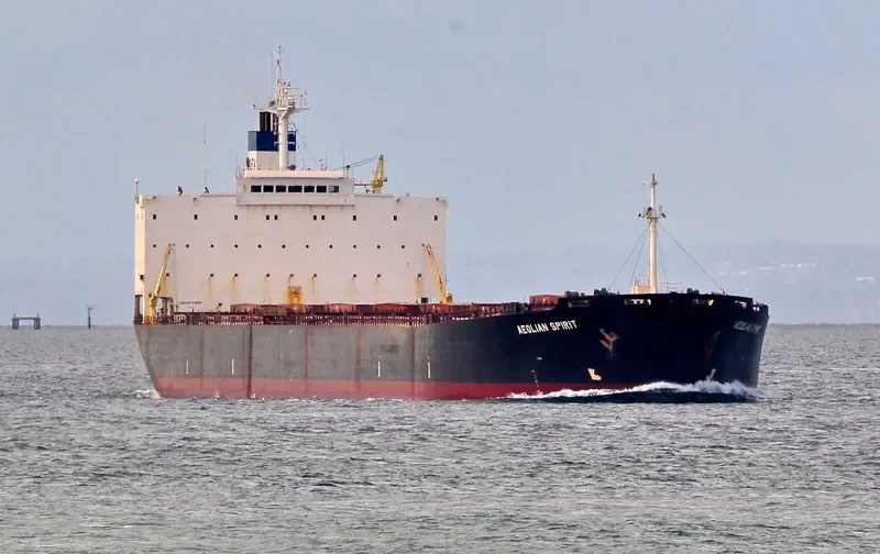 DONG JIANG SHENG Bulk Carrier IMO 9180798