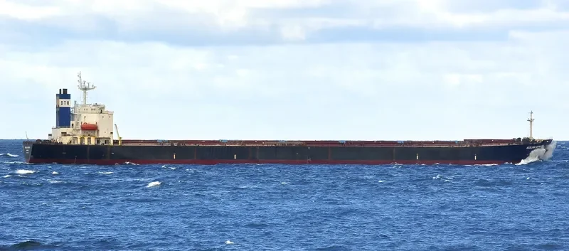 DONG JIANG SHENG Bulk Carrier IMO 9180798 photo 2
