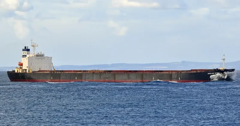 DONG JIANG SHENG Bulk Carrier IMO 9180798 photo 3
