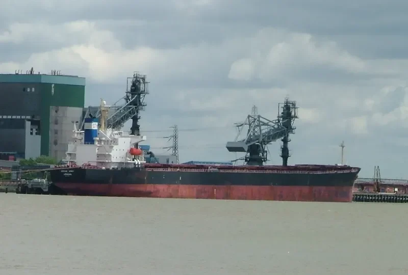 DONG JIANG SHENG Bulk Carrier IMO 9180798 photo 5