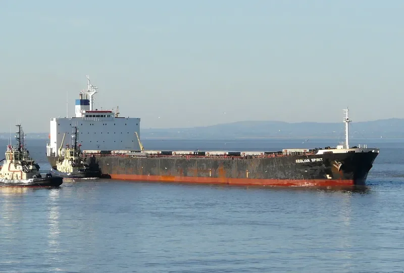 DONG JIANG SHENG Bulk Carrier IMO 9180798 photo 6