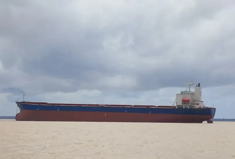 HONG RUN Bulk Carrier IMO 9180803