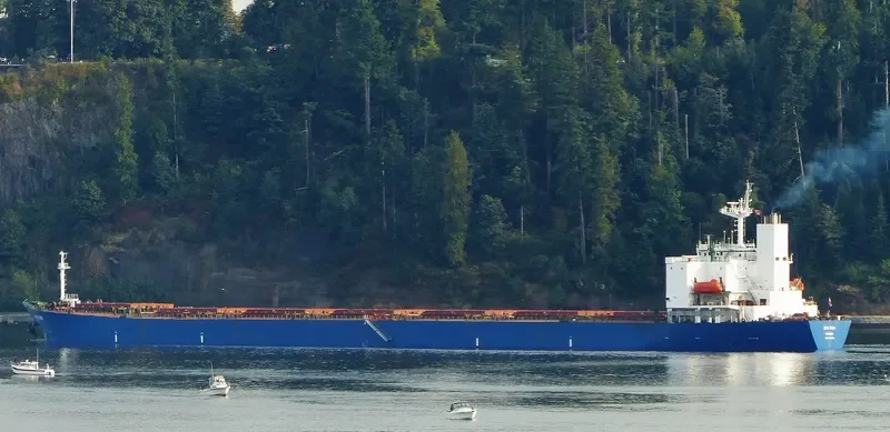 HONG RUN Bulk Carrier IMO 9180803 photo 4