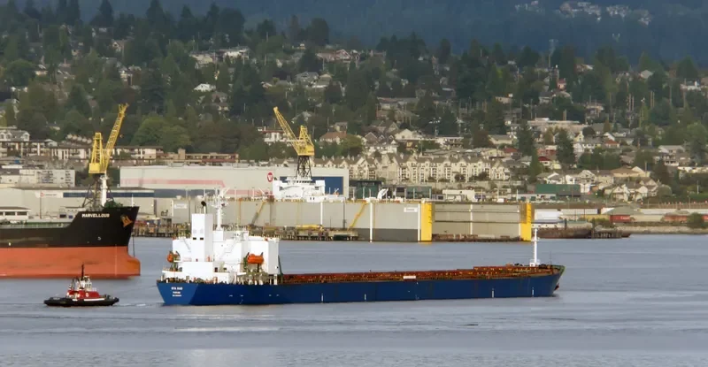 HONG RUN Bulk Carrier IMO 9180803 photo 6