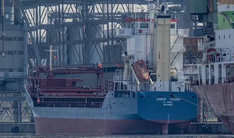 AMBER TRADER General Cargo IMO 9180853 photo 8