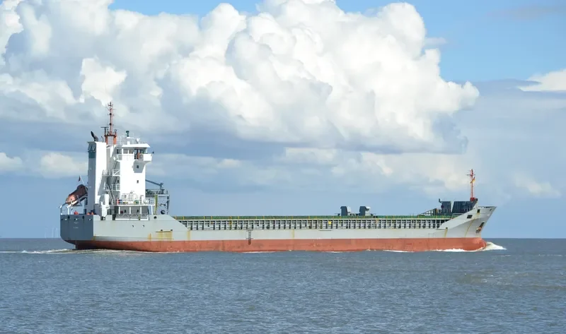 MAXI General Cargo IMO 9180865 photo 9