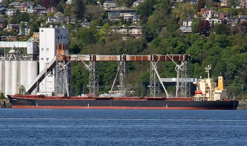 TASOS Bulk Carrier IMO 9180906