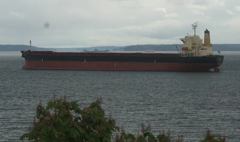 TASOS Bulk Carrier IMO 9180906 photo 5