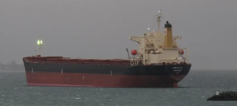 TASOS Bulk Carrier IMO 9180906 photo 6
